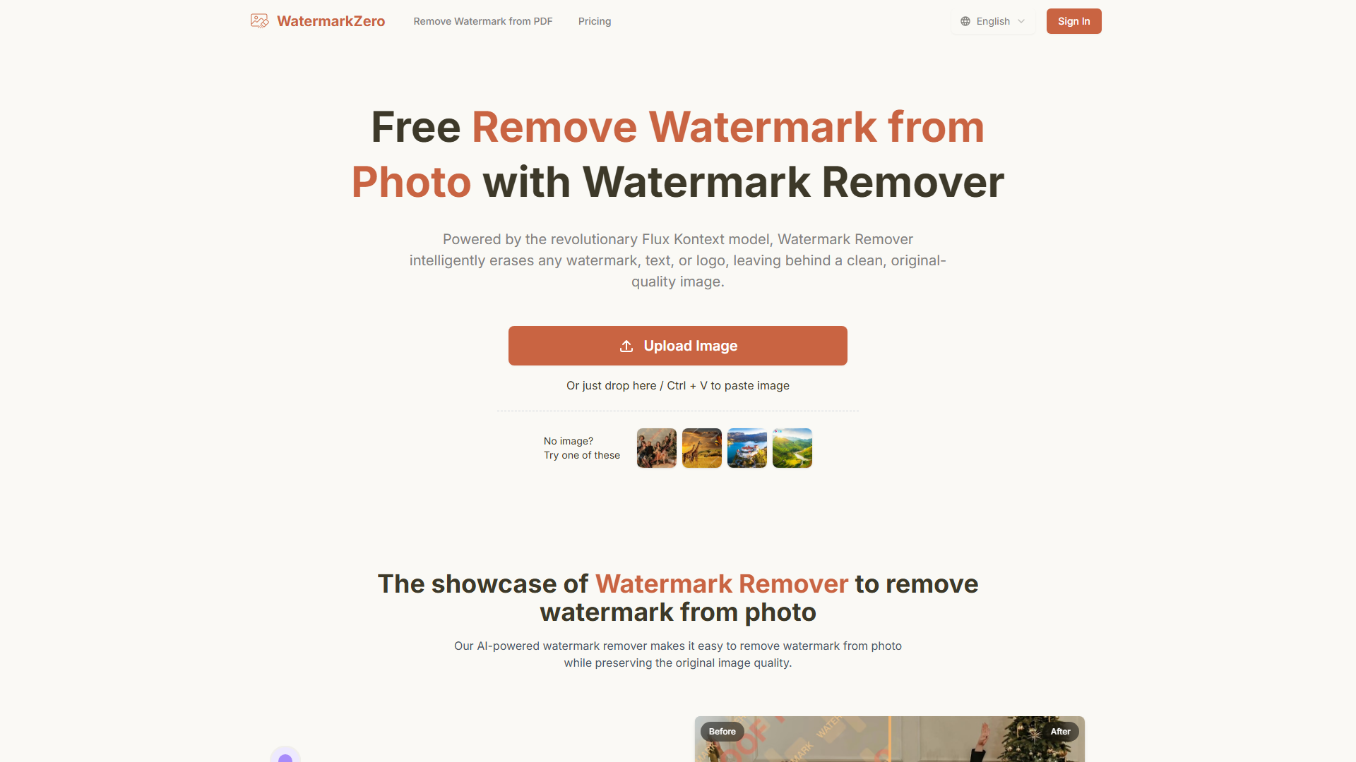 Remove Watermark From Photo with Watermark Remover
