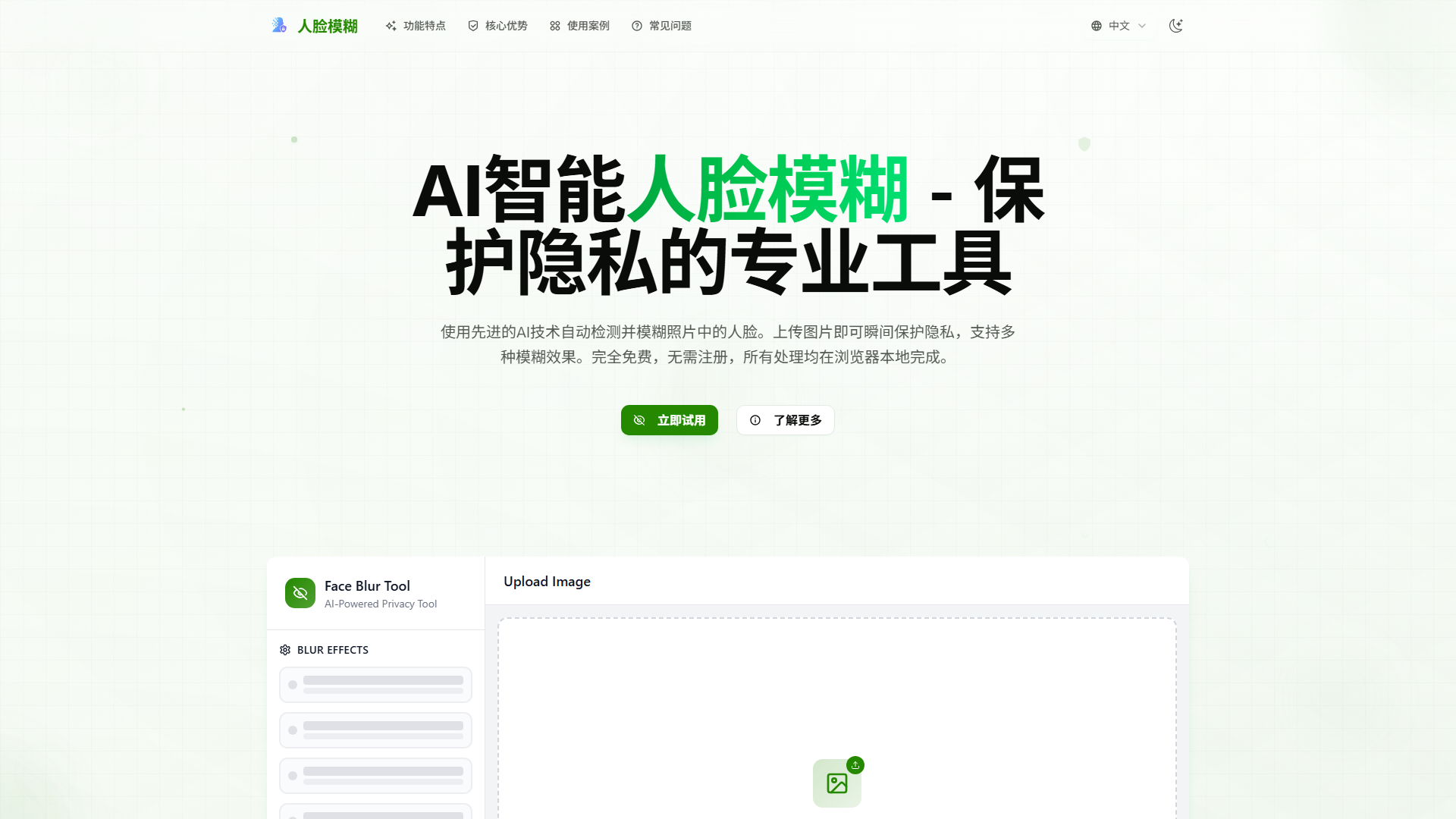 Blur Face - AI Face Anonymizer & Privacy Protection Tool