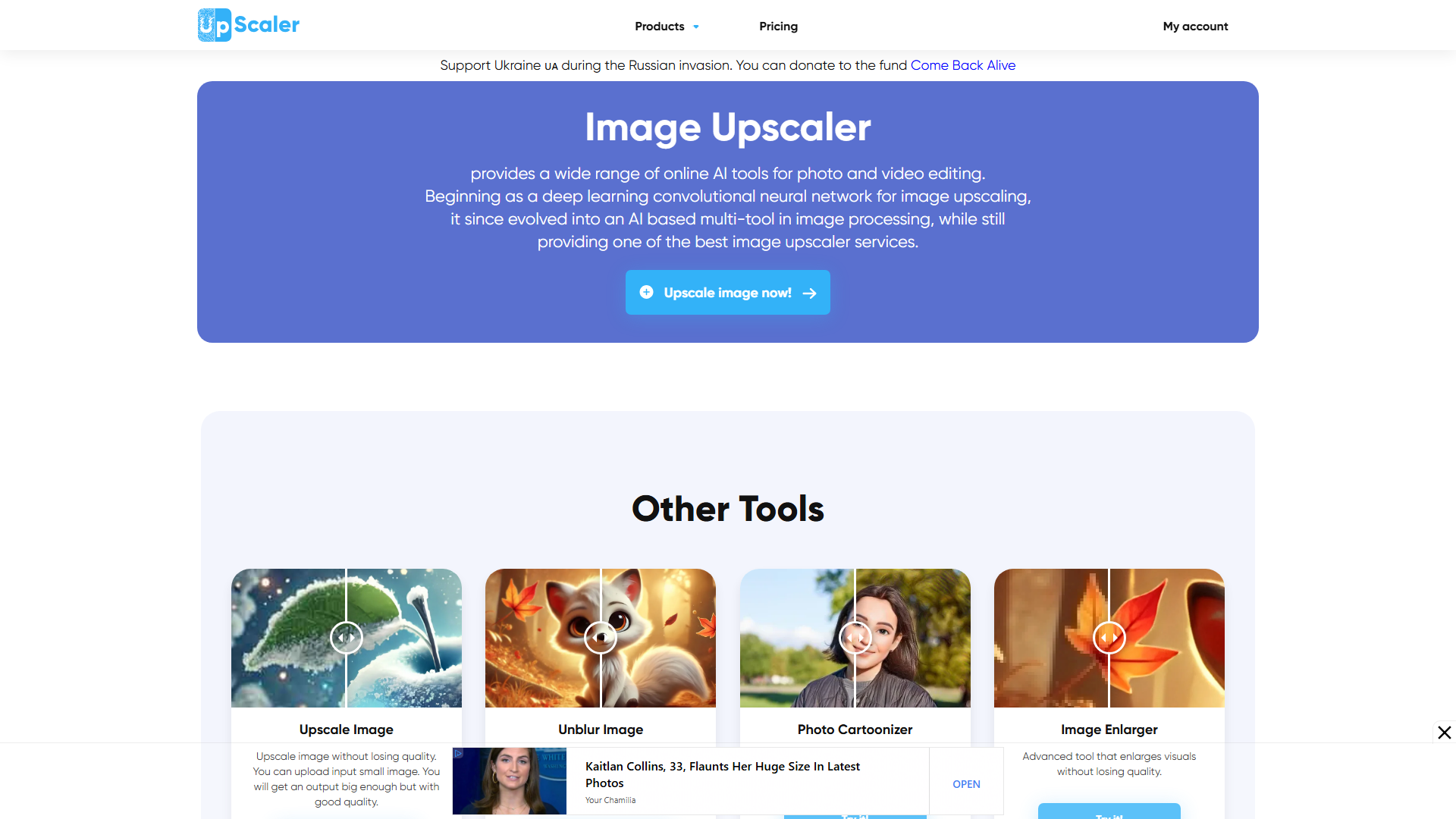 Image Upscaler - Upscale Your Photo for Free with AI